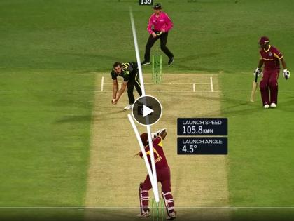 AUS vs WI T20I : Caught & Bowled! Mitchell Starc drew first blood for Australia showing superb reflexes to dismiss Kyle Mayers, Video  | AUS vs WI T20I : OMG! मिचेल स्टार्कने कसला खतरनाक कॅच घेतला; फलंदाज निशब्द होऊन बघत उभा राहिला, Video 