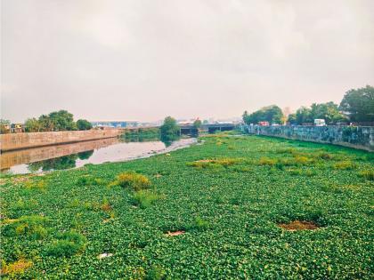 65 crore scam in Mithi river cleaning; Dead person signs the contract | मिठी नदी सफाईत ६५ कोटींचा घोटाळा; करारावर मृत व्यक्तीची सही 65 crore scam in Mithi river cleaning; Dead person signs the contract | मिठी नदी सफाईत ६५ कोटींचा घोटाळा; करारावर मृत व्यक्तीची सही