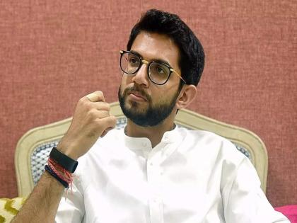 Put restrictions, but don't close tourist destinations altogether; Demand of businessmen from Minister Aditya Thackeray | निर्बंध लावा, पण पर्यटनस्थळे सरसकट बंद करू नका; व्यावसायिकांची आदित्य ठाकरेंकडे मागणी