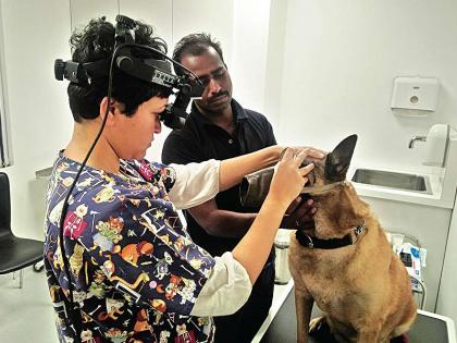 The first ever medical center in the country, which gives vision to animals and birds, is located in Mumbai | पशू-पक्ष्यांना दृष्टी देणारा देशातील पहिला अद्ययावत दवाखाना मुंबईत