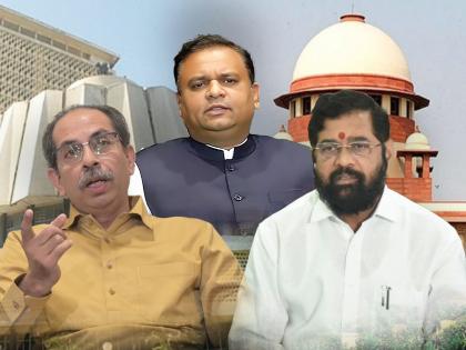 assembly speaker rahul narvekar reaction over stand of shiv sena shinde group and thackeray group on mla disqualification verdict | “...तरच अपात्रतेचा निर्णय मागे घेतला जाऊ शकेल”; राहुल नार्वेकरांचे सूचक विधान