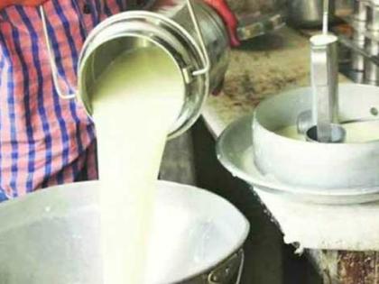 Preference will be given to dairy farmers | दुग्धोत्पादकांना प्राधान्याने पतपुरवठा करणार