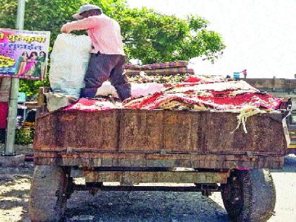 Violation of traffic rules, garbage transportation by contractor in private registration vehicles | वाहतुकीच्या नियमांचे उल्लंघन, खासगी नोंदणीच्या वाहनांतून ठेकेदार करतोय कचरा वाहतूक