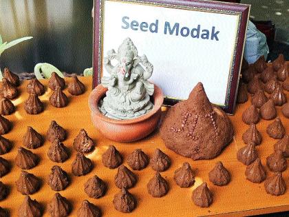 Environmentalists made the lead modak after the seed bomb | पर्यावरणप्रेमींनी सीड बॉम्बनंतर बनविले सीड मोदक