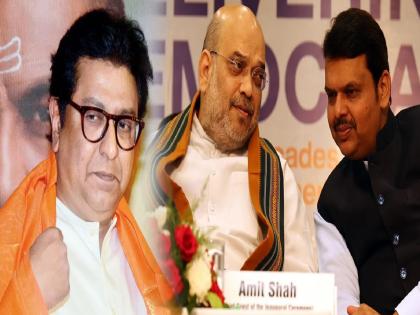 BJP ready to take MNS along, talks in Delhi; Will South Mumbai Seat leave for MNS in Mumbai? | मनसेला सोबत घेण्यास भाजपा तयार, दिल्लीत चर्चा; मुंबईतील 'ही' जागा मनसेला सोडणार?