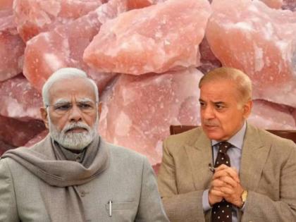 India gives another big blow to Pakistan Rock salt order cancelled these items also banned | 'आम्हाला तुमचं मीठही नको आणि ...'; भारताने पाकिस्तानला दिला आणखी एक मोठा धक्का India gives another big blow to Pakistan Rock salt order cancelled these items also banned | 'आम्हाला तुमचं मीठही नको आणि ...'; भारताने पाकिस्तानला दिला आणखी एक मोठा धक्का