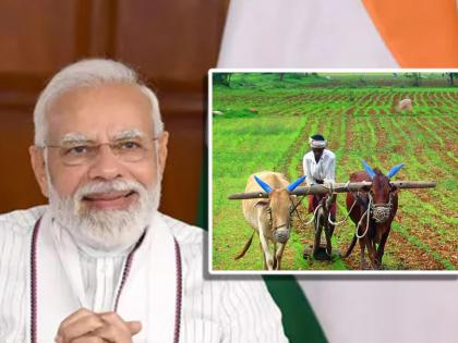 Narendra Modi government gift to Indian farmers big relief one and a half percent rebate on loan up to 3 lakh | Pm Modi, Farmers in India: मोदी सरकारचं 'जय बळीराजा'! ३ लाखांच्या कर्जावर दीड टक्के व्याज सूट