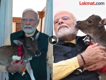 Arrival of a new member in 'Prime Minister's Residence'! Modi named it 'Deepjyoti' because... | 'पंतप्रधान निवास'मध्ये नवीन सदस्याचे आगमन! मोदींनी नाव ठेवले 'दीपज्योती', कारण...