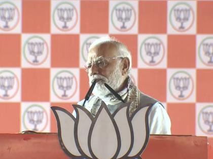 स्वतःच्याच वडिलांचे नाव घ्यायला लाज वाटते का?, 'जंगलराज'चा उल्लेख करत PM मोदींचा घणाघात