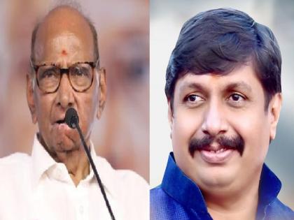 Focus on how Sharad Pawar will solve the dilemma in Madha Lok Sabha constituency | साताऱ्याचं ठरलं; माढ्याचं उरलं!; शरद पवार पेच कसा सोडविणार याकडे लक्ष 