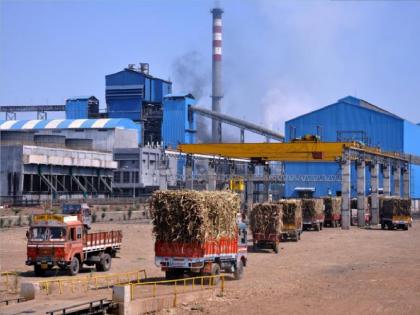 Molasses production is likely to decrease in the coming season Consider imposing export duty to avoid shortage of raw materials for ethanol | मोलॅसिसवर निर्यात शुल्क, इथेनॉल प्रकल्पांना कच्चा माल कमी पडू नये म्हणून उपाय