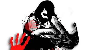 The girl's molestation in South Express near Nagpur railway station | नागपूर रेल्वेस्थानकानजीक दक्षिण एक्स्प्रेसमध्ये युवतीची छेडखानी