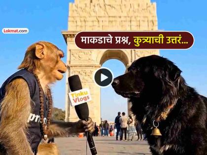 Viral video monkey takes interview of Dog watch hilarious ai generated video funny | Viral: माकड दादाने घेतली ‘डॉगेश भाऊं’ची मुलाखत, धम्माल VIDEO पाहून तुम्हीही पोट धरून हसाल