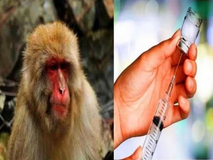 Monkey fever reported in Kerala's Wayanad district patient under hospital care | कोरोना संकटात नव्या आजाराची एंट्री; केरळमध्ये पहिला रुग्ण सापडला; चिंता वाढली