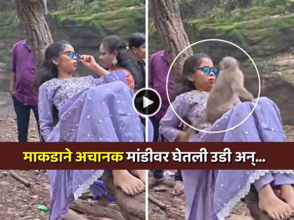 Video: माकडाच्या उडीने REEL मध्ये आलं वेगळंच 'थ्रिल' !! घाबरलेल्या मुलीने पुढे काय केलं बघा