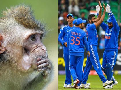 Rinku Singh got Bitten by Monkey: Even the monkey takes revenge? Indian cricketer bitten six times; So he got a tattoo... | माकडही बदला घेतो? भारतीय क्रिकेटरला सहा वेळा चावला; म्हणून त्याने टॅटूच काढला...