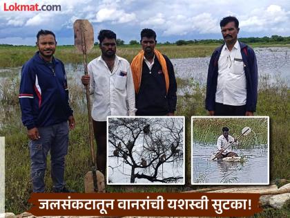 Parabhani: Monkeys trapped in water after 15 days without food successfully rescued | Jalana: १५ दिवसांपासून अन्नाविना तडफड, पाण्यात अडकलेल्या वानरांची यशस्वी सुटका Parabhani: Monkeys trapped in water after 15 days without food successfully rescued | Jalana: १५ दिवसांपासून अन्नाविना तडफड, पाण्यात अडकलेल्या वानरांची यशस्वी सुटका