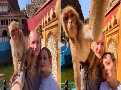 VIRAL: A foreign couple was taking a picture, suddenly a monkey came on their shoulders and... you will be happy after watching the video! | VIRAL : परदेशी जोडपं फोटो काढत होतं, अचानक माकडं खांद्यावर आलं अन्... व्हिडीओ बघून खूश व्हाल!