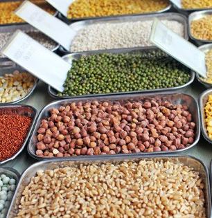 पावसाळ्यात कोणत्या डाळी खाव्यात कोणत्या टाळाव्यात? पोटाचं तंत्र राहील चांगलं...
