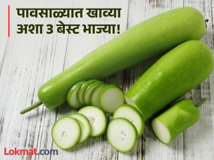 Nutritionist Lavneet Batra tells the 3 vegetables names and benefits to eat in rainy season | न्यूट्रिशनिस्टने सांगितलं पावसाळ्यात आवर्जून खा 'या' 3 भाज्या, फायदे वाचाल तर रोज खाल!