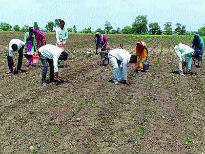 Monsoon covers the whole country, in the state only wait for big rains | मान्सूनने संपूर्ण देश व्यापला, राज्यात मात्र मोठ्या पावसाची प्रतीक्षा