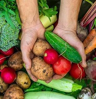 पावसाळ्यात 'या' ५ भाज्या पोटासाठी जणू विष! चुकूनही खाऊ नका, पोटदुखी-अपचनाचा त्रासही वाढतो