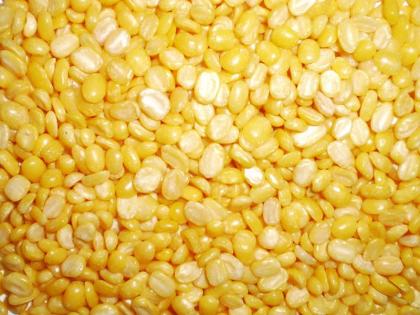 FSSAI claims your moong, masoor dal is poisonous, know the reason! | सावधान! विषारी आहे मूग आणि मसूर डाळ, जाणून घ्या कारण!