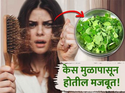 How to use moringa for hair growth and stop hairfall | केसगळती, तुटण्याला वैतागलात? शेवग्याचा 'असा' करा वापर लगेच समस्या होईल दूर!