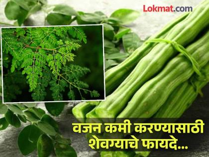 How to use moringa aka drumstick to lose weight | वजन कमी करण्यासाठी शेवग्याचं कसं करावं सेवन? वाचाल तर रहाल फायद्यात...