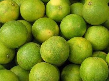 मोसंबी कच्ची की रसरशीत पिकलेली कशी ओळखाल? गोड, चवदार मोसंबी खरेदी करण्यासाठी सोप्या टिप्स