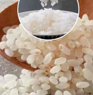 जगातील सगळ्यात महाग तांदूळ, 1 किलोची किंमत वाचून येईल चक्कर; पाहा काय आहे याची खासियत