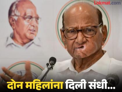 Maharashtra Vidhan Sabha Election 2024 Sharad Pawar fielded 11 new faces There will be a big fight | Maharashtra Vidhan Sabha Election 2024 : शरद पवारांनी ११ नव्या चेहऱ्यांना मैदानात उतरवलं; होणार मोठी लढत