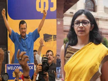 MP Swati Maliwal has criticized AAP after failure in Haryana assembly elections | "विनेश फोगटला हरवण्यासाठी..."; हरयाणात 'आप'च्या जखमेवर मालीवाल यांनी चोळले मीठ