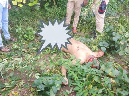 Unidentified man killed by firing bullets! | बंदुकीच्या गोळ्या झाडून अज्ञात इसमाची हत्या!