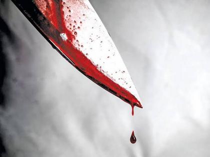 Mother-in-law murdered because her grandfather's vomiting was not cleared | नातवाची उलटी साफ केली नाही म्हणून सासूची हत्या