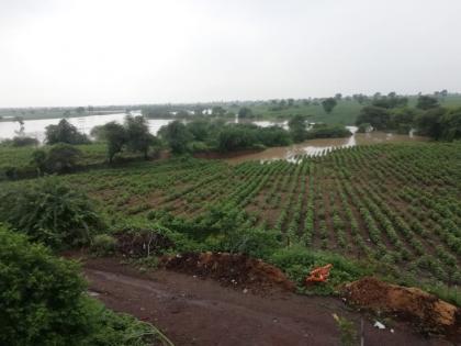 Damage to agriculture on 700 hectares due to heavy rains in Murtijapur taluka | मूर्तिजापूर तालुक्यात अतिवृष्टीमुळे ७०० हेक्टरच्यावर शेतीचे नुकसान