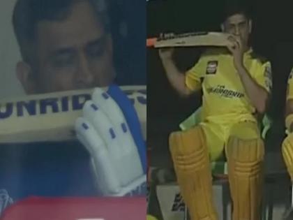 Dhoni Eating His Bat: MS Dhoni bites bat before stepping on the field, says Amit Mishra because | Dhoni Eating His Bat: मैदानावर उतरण्याआधी MS Dhoni ने बॅट चावली, अमित मिश्राने सांगितले कारण