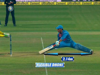 India vs Australia 2nd T20: See how fit Mahendra Singh Dhoni is | India vs Australia 2nd T20 : बुढ्ढा होगा तेरा... महेंद्रसिंग धोनी किती फिट आहे ते पाहा