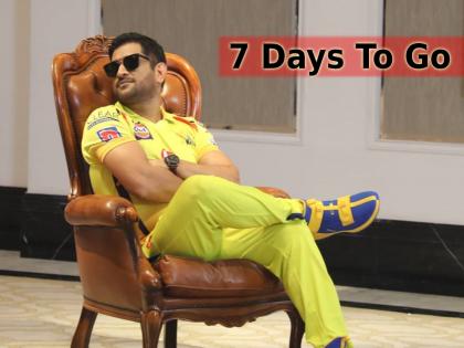 7 Days To Go : IPL मधील महेंद्रसिंग धोनीचे हे 'सात' विक्रम तुम्हाला चक्रावून टाकतील! 7 Days To Go : IPL मधील महेंद्रसिंग धोनीचे हे 'सात' विक्रम तुम्हाला चक्रावून टाकतील!