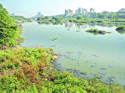 Pollution caused 61 species of fish destroyed in mutha river | प्रदूषणामुळे मुठेतील माशांच्या ६१ प्रजाती नष्ट