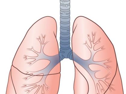 Keep your lungs healthy to fight against corona! | कोरोनाविरुद्ध लढण्यासाठी फुप्फुस ठेवा निरोगी!