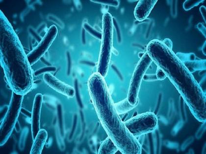 Corona Virus: Slowly eradicate mucormycosis in Marathwada; Registration of 701 patients | Corona Virus : म्युकरमायकोसिसचा विळखा; मराठवाड्यात कोरोना न झालेल्यांनाही आजाराने घेरले, एकूण ७०१ रुग्णांची नोंद