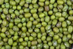 10 centers in the district to buy urad and moong | उडीद, मूग खरेदीसाठी जिल्हय़ात १0 केंद्र