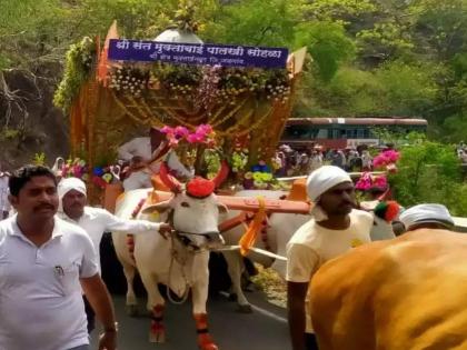 Muktainagar to Pandharpur Ashadhi Vari: Welcoming Saint Muktabai's Palkhi at Buldhana | पाऊले चालती पंढरीची वाट! मुक्ताईनगर ते पंढरपूर आषाढी वारी: संत मुक्ताबाईंच्या पालखीचे स्वागत