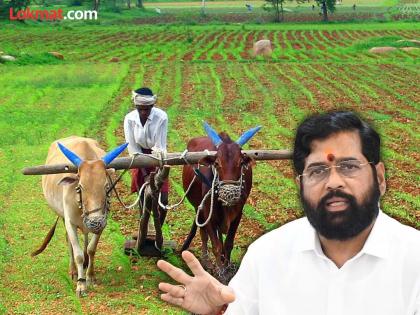 After Ladaki Bahin Yojana now 'Aamcha Ladka Shetkari Yojana will be implemented; Announcement of Chief Minister Eknath Shinde | CM Eknath Shinde : 'लाडकी बहीण योजनेनंतर आता 'आमचा लाडका शेतकरी योजना' राबवणार; मुख्यमंत्री एकनाथ शिंदेंची घोषणा