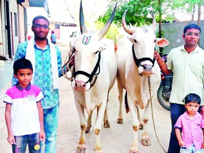 Sant Muktabai Ashdhi Vari Palkhi Festival Depart from Saturday | संत मुक्ताबाई आषाढी वारी पालखी सोहळा प्रस्थान शनिवारी