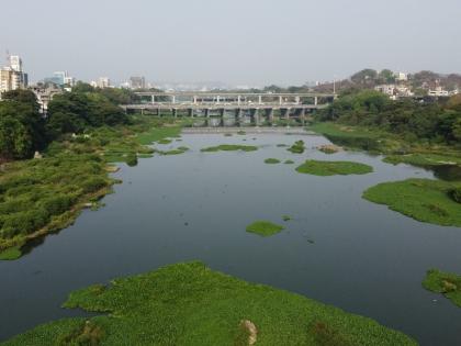 Expenditure of 300 crores for revitalization of Mula River; Approval of Municipal Commissioner | PCMC | मुळा नदी पुनरुज्जीवनासाठी पावणेतीनशे कोटींचा खर्च; महापालिका आयुक्तांची मान्यता