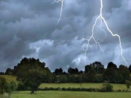 son killed, father injured in lightning strike in gondia district | शेतात काम करताना अंगावर वीज पडून मुलाचा मृत्यू, वडील जखमी