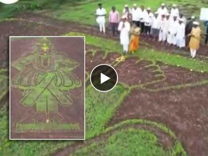 pune mulshi engineer creates on the occasion of ashadhi ekadashi made 120 feet lord vitthal paddy in field video goes viral | शेतात बहरलं विठुरायाचं सुंदर रुप! शेतकऱ्याने भात शेतीत साकारली विठुरायाची १२० फूट प्रतिकृती 