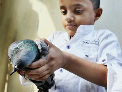  The percentage of injured animals and birds decreased by 5 percent | जखमी पशू-पक्ष्यांचे प्रमाण ६० टक्क्यांनी झाले कमी